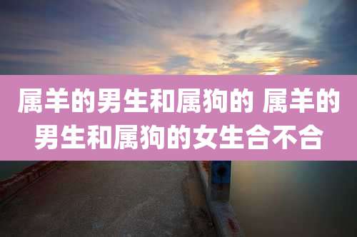 属羊的男生和属狗的 属羊的男生和属狗的女生合不合