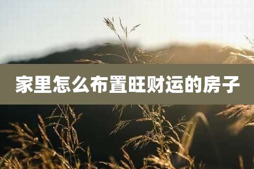 家里怎么布置旺财运的房子