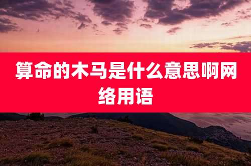 算命的木马是什么意思啊网络用语