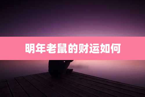 明年老鼠的财运如何