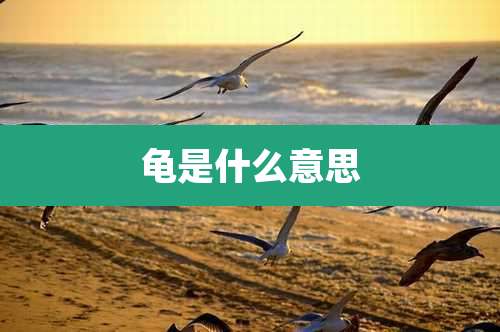 龟是什么意思