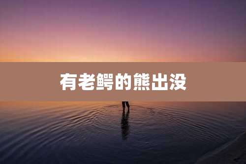 有老鳄的熊出没