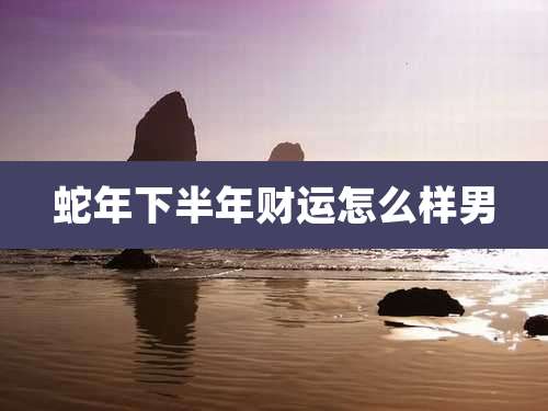 蛇年下半年财运怎么样男