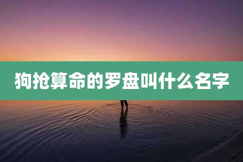 狗抢算命的罗盘叫什么名字