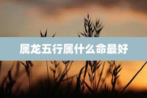 属龙五行属什么命最好
