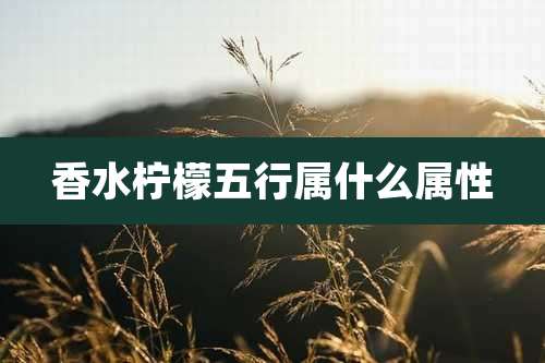香水柠檬五行属什么属性