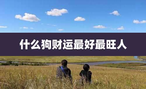什么狗财运最好最旺人