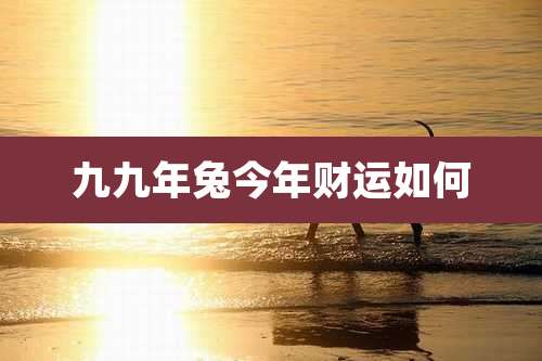 九九年兔今年财运如何