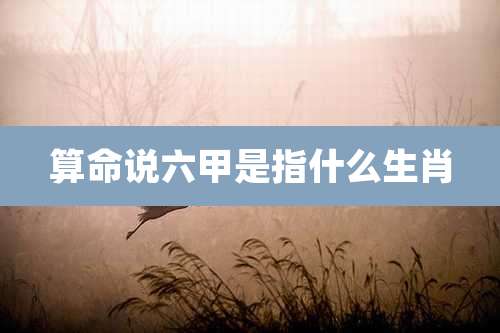 算命说六甲是指什么生肖
