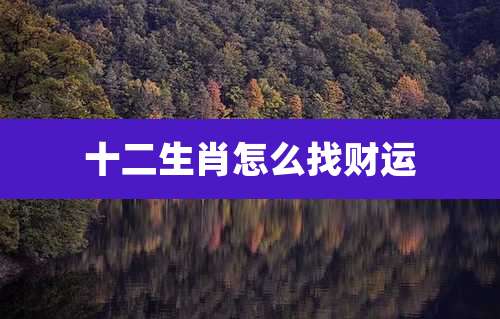 十二生肖怎么找财运