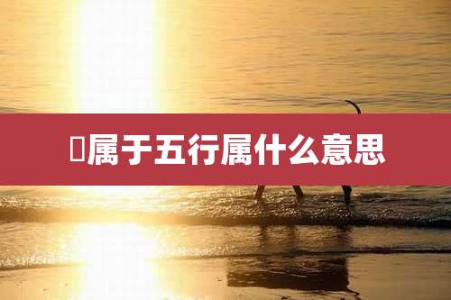 撜属于五行属什么意思