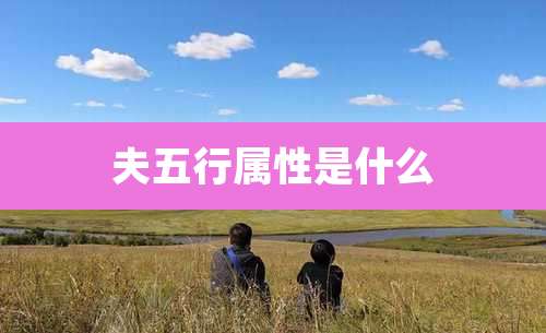 夫五行属性是什么