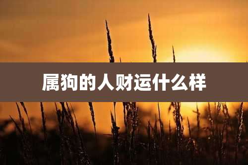 属狗的人财运什么样