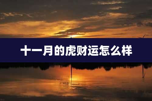 十一月的虎财运怎么样