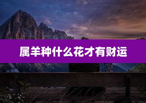 属羊种什么花才有财运