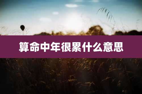 算命中年很累什么意思