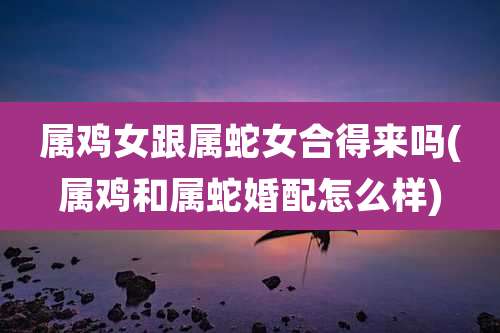 属鸡女跟属蛇女合得来吗(属鸡和属蛇婚配怎么样)