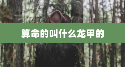 算命的叫什么龙甲的