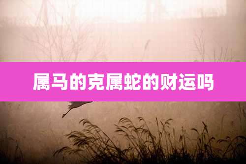 属马的克属蛇的财运吗