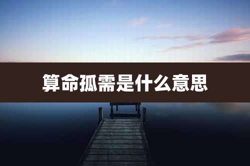 算命孤需是什么意思