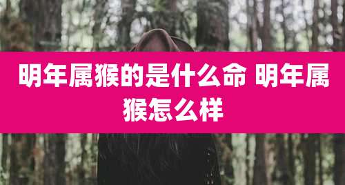 明年属猴的是什么命 明年属猴怎么样