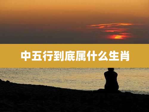 中五行到底属什么生肖
