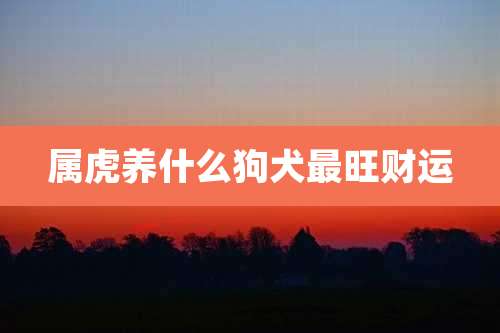 属虎养什么狗犬最旺财运