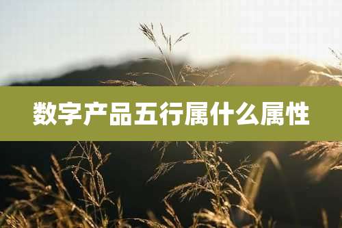 数字产品五行属什么属性