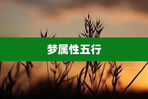 梦属性五行