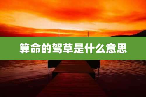 算命的驾草是什么意思