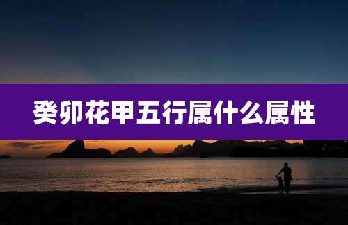 癸卯花甲五行属什么属性