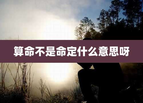 算命不是命定什么意思呀