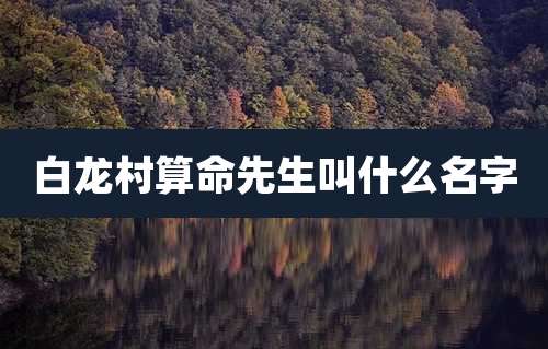 白龙村算命先生叫什么名字