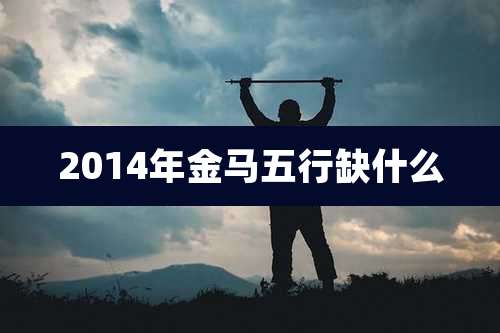 2014年金马五行缺什么
