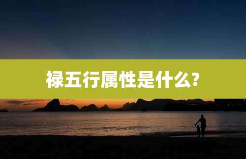 禄五行属性是什么?