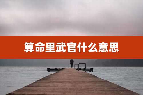 算命里武官什么意思