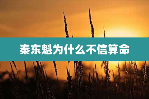 秦东魁为什么不信算命