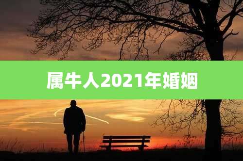 属牛人2021年婚姻