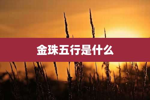 金珠五行是什么