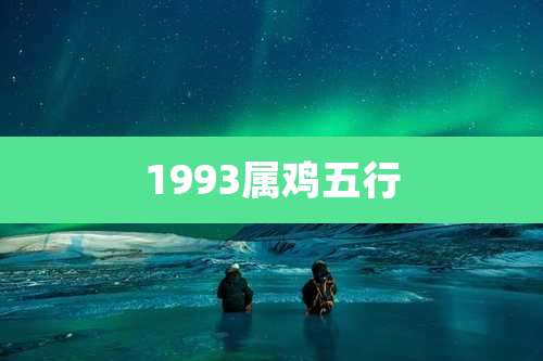 1993属鸡五行