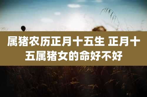 属猪农历正月十五生 正月十五属猪女的命好不好