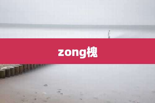 zong槐
