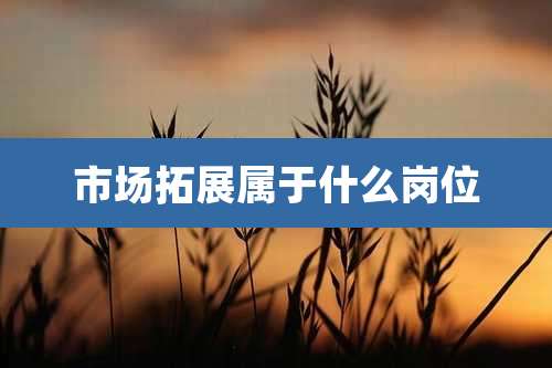 市场拓展属于什么岗位