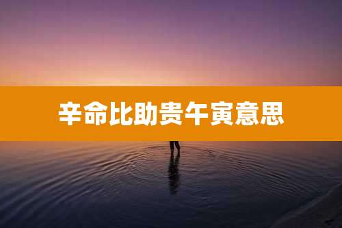 辛命比助贵午寅意思