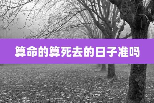算命的算死去的日子准吗