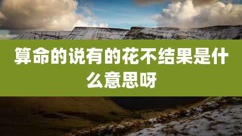 算命的说有的花不结果是什么意思呀