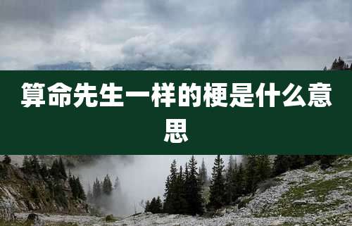 算命先生一样的梗是什么意思