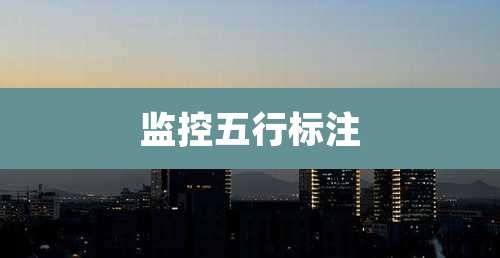 监控五行标注