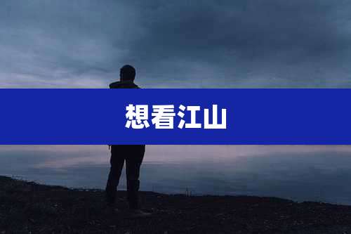 想看江山