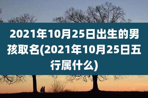 2021年10月25日出生的男孩取名(2021年10月25日五行属什么)